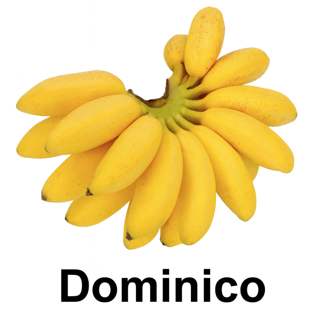 Plátano Dominico
